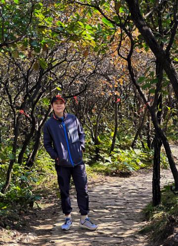 海外追剧党必看!3个实用技巧帮你解锁国内影视资源