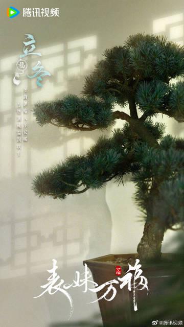 海外华人轻松解除地区限制，畅享国内影视音乐综艺全攻略