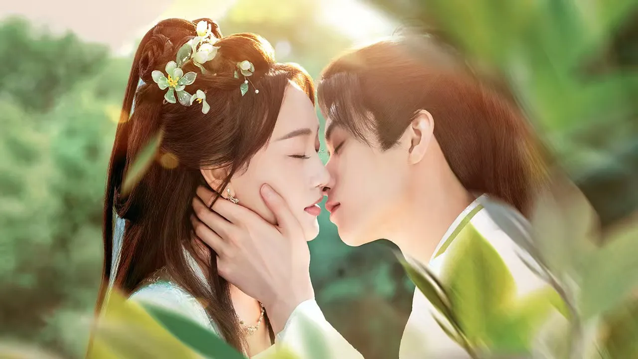 海外追剧不再愁！手把手教你解锁《掌上齐眉》等国内热门剧集